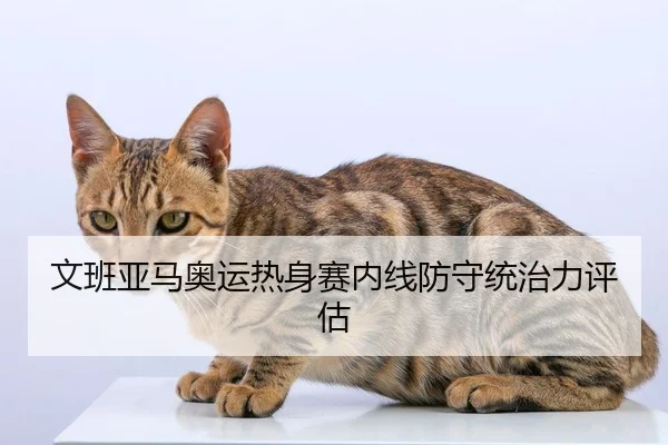 文班亚马奥运热身赛内线防守统治力评估