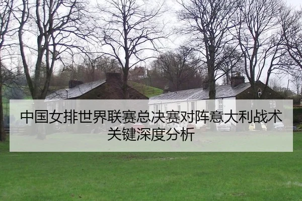 中国女排世界联赛总决赛对阵意大利战术关键深度分析