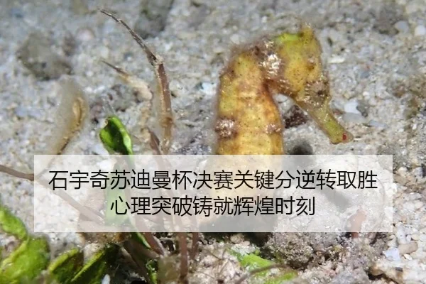 shi-yu-qi-su-di-man-bei-jue-sai-guan-jian-fen-ni-zhuan-qu-sheng-xin-li-tu-po-zhu-jiu-hui-huang-shi-ke-3-907.jpg