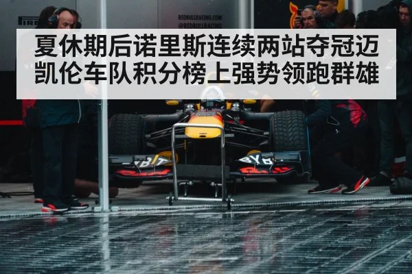 Formula 1 pit stop